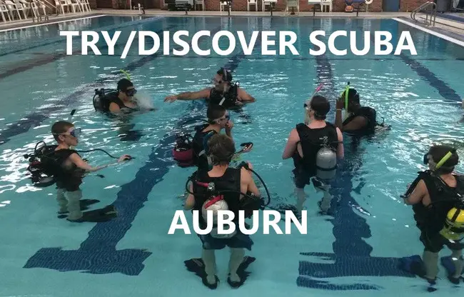 Discover Scuba Diving : 体验水肺潜水