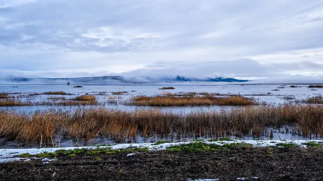 Klamath Lake Modoc Siskiyou : 克拉马斯湖莫多克-西斯基尤