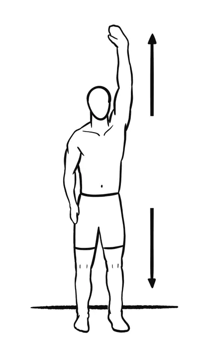 Elongation Derotation Flexion : 伸长 反旋转 屈曲