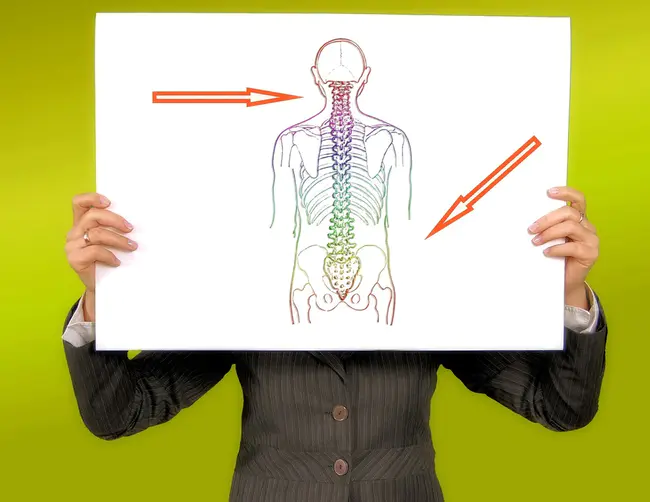 Herniated Lumbar Disc Disease : 腰椎间盘突出症