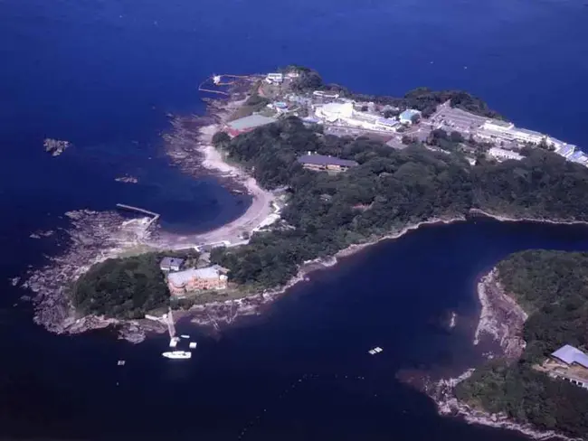 Misaki Marine Biological Station : 三崎海洋生物站