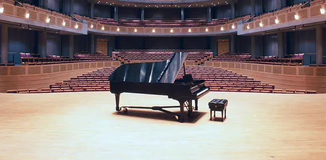 Merkin Concert Hall : 默金音乐厅