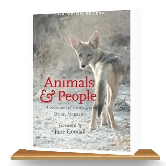 People/Animals Companions Together : 人/动物同伴在一起