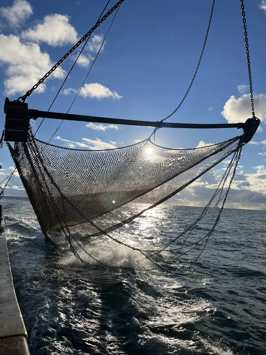 Redersvereniging voor de Zeevisserij : 海洋渔业船东协会