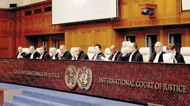 International Judicial Academy : 国际司法学院
