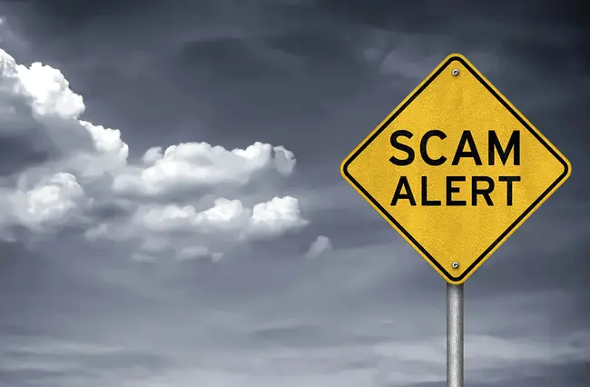 scam Scam : 骗局骗局