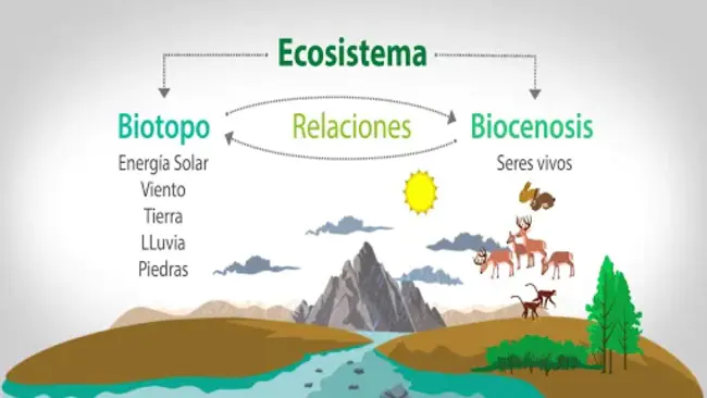 Sistema Satelital de Observación Terrestre : 地球观测卫星系统