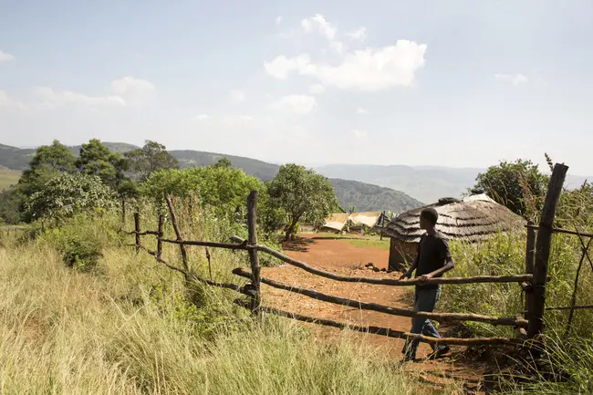 Swaziland Farmers Development Foundation : 斯威士兰农民发展基金会