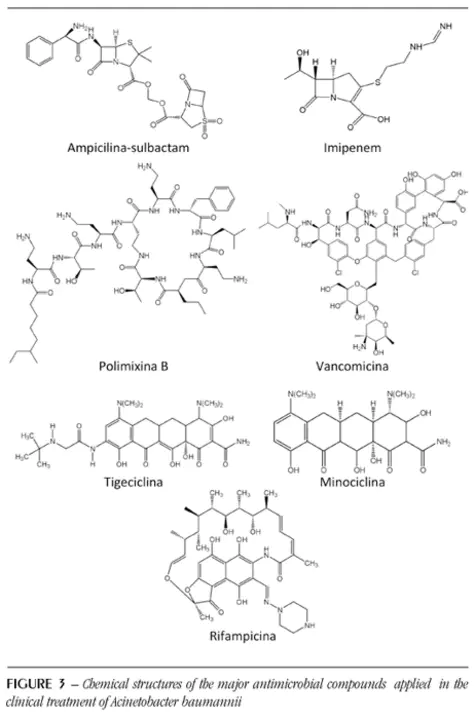 oxacillin resistant Staphylococcus aurous : 耐苯唑西林金黄色葡萄球菌