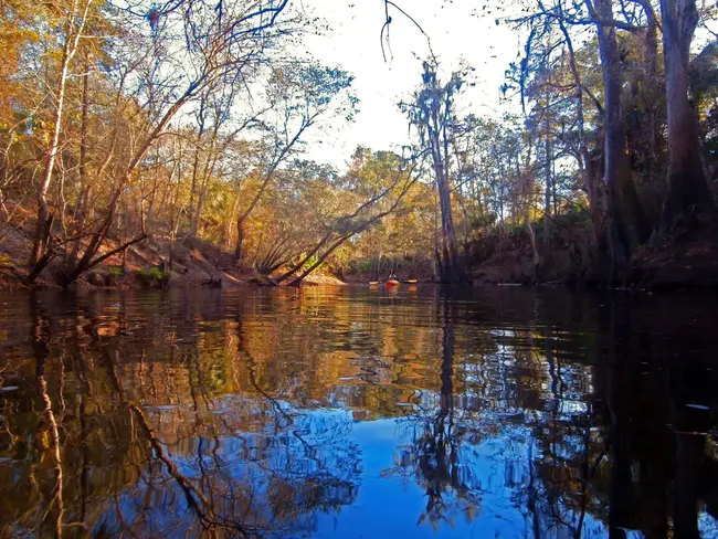 Aucilla River Prehistory Project : 奥西拉河史前项目