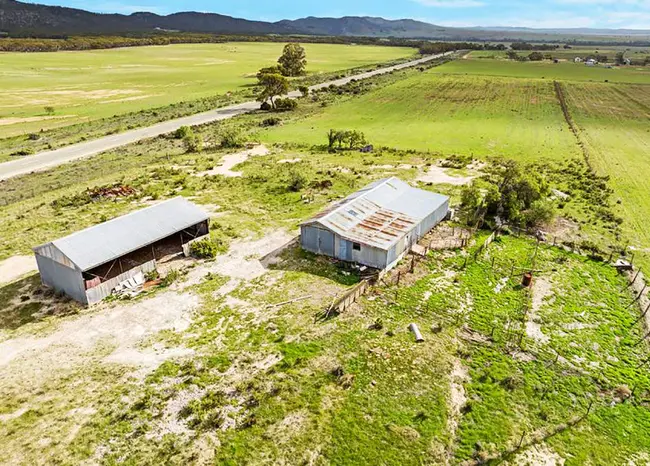 North Amherst Community Farm : 北阿默斯特社区农场