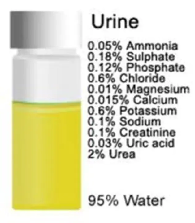 Post Voiding Residual Urine : 排尿后残余尿