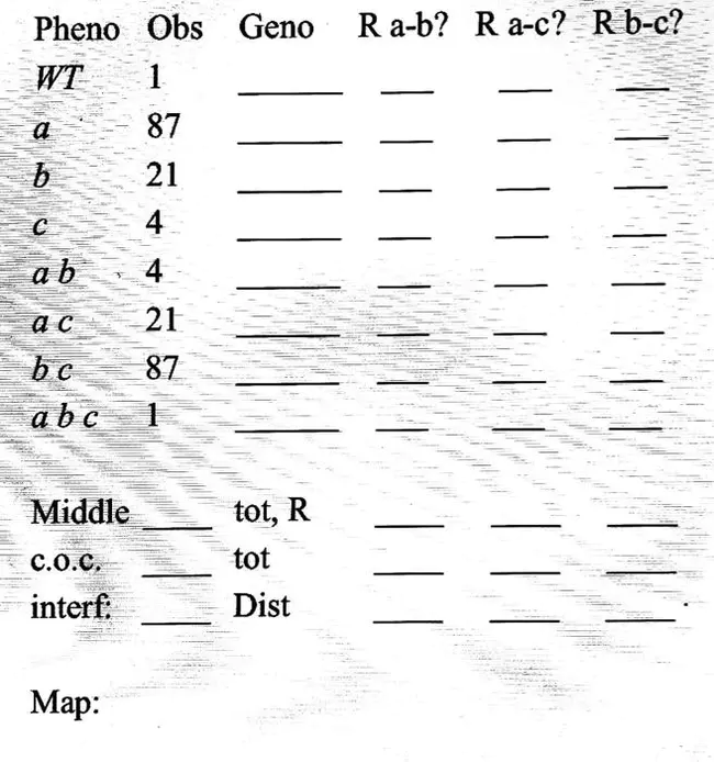 Generalized Non Adjacent Form : 广义非邻接形式