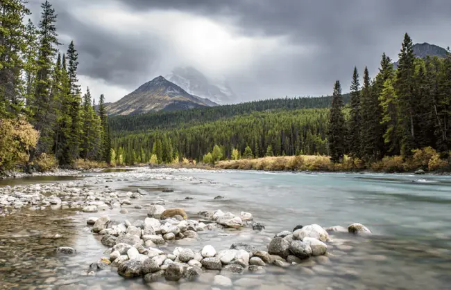 Edmonton Regional Tourism Group : 埃德蒙顿地区旅游集团