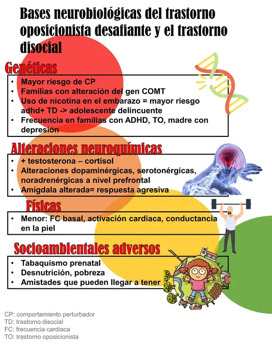 Trastorno por Déficit de Atención e : 特拉斯托诺 por D ficit de Atencin e