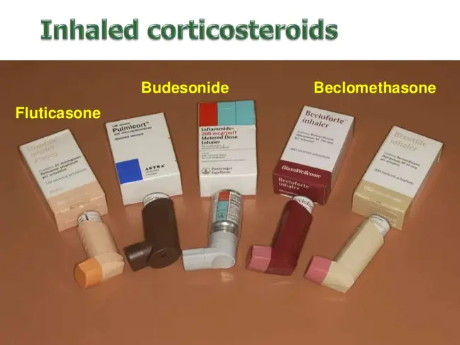 Corticosteroid Binding Globulin : 皮质类固醇结合球蛋白