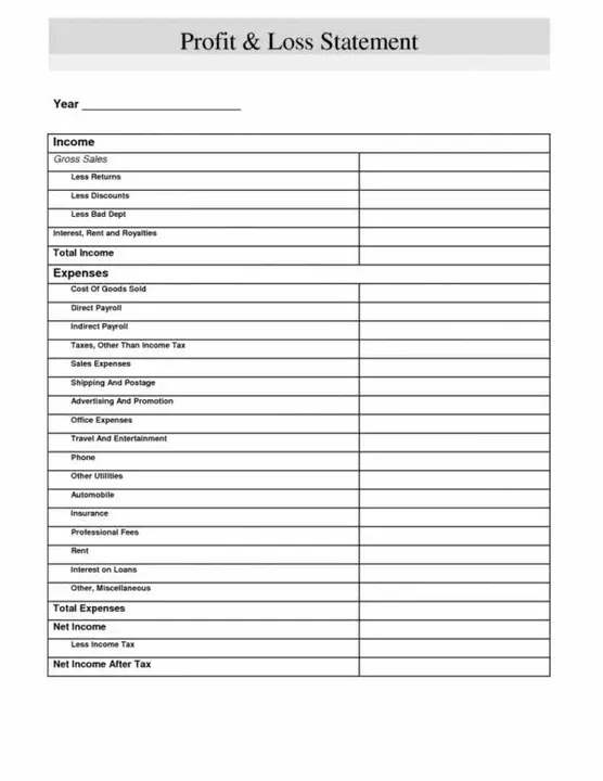 Annual Statement Supplement Report : 年度报表补充报告