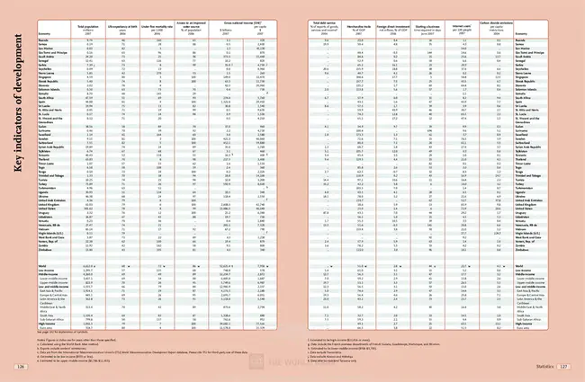 Global Enterprise Resource Planning : 全球企业资源规划