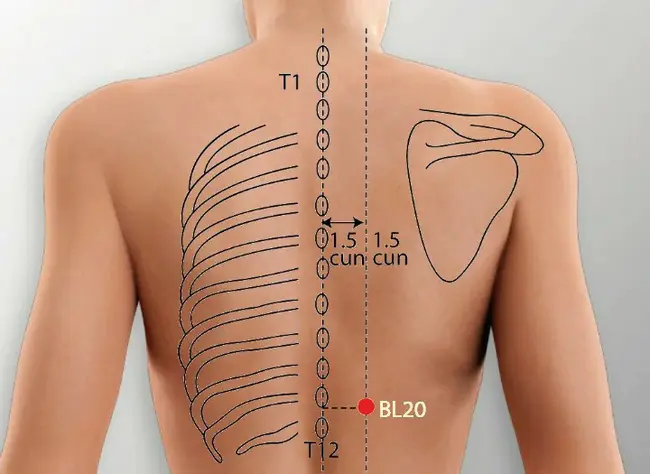 Auto Sensory Meridian Response : 自感觉经络反应