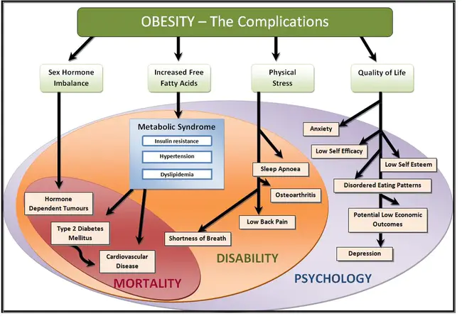 Obesity Dependent Laminitis : 肥胖依赖性椎板炎