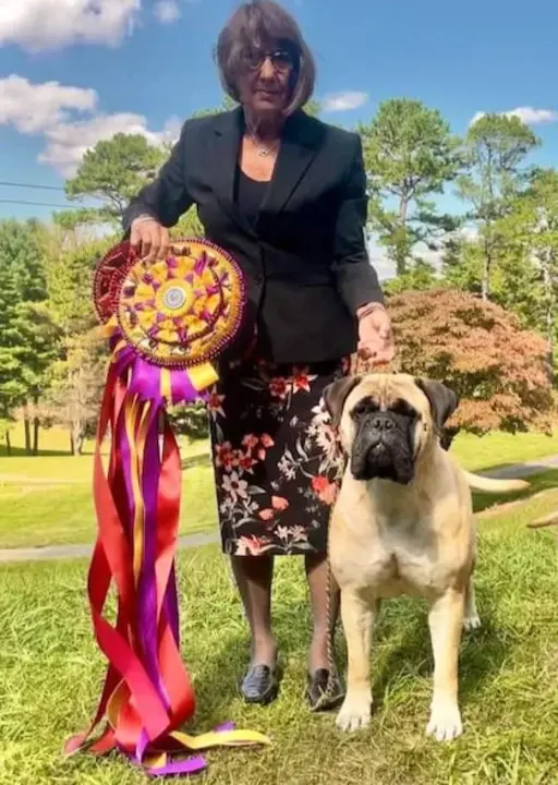 American Tibetan Mastiff Association : 替美国藏獒协会