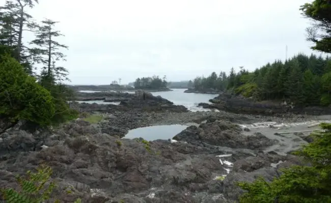 Vancouver Island Placer Miners Association : 温哥华岛砂矿工人协会