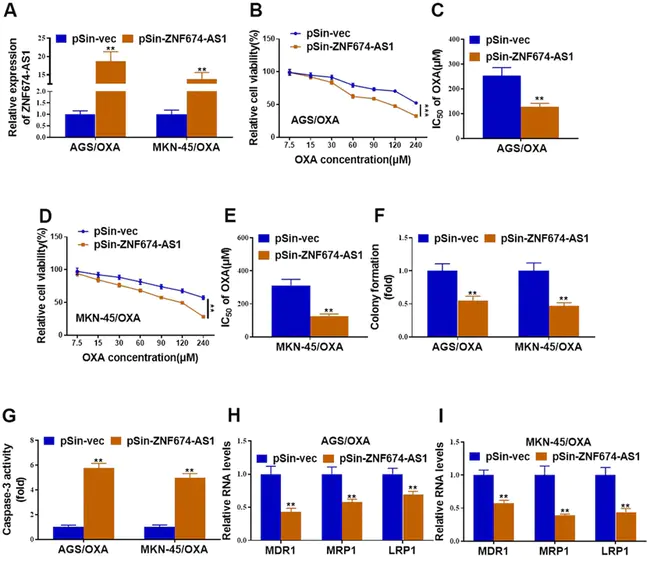 Zn Alpha2 Glycoprotein : 锌α2糖蛋白