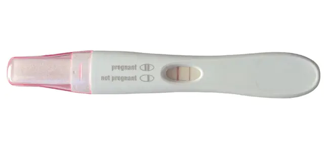 Pregnancy Test : 妊娠试验