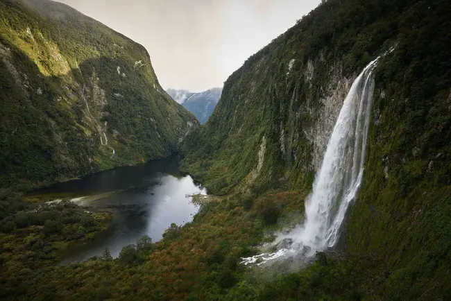 Fiordland Wapiti Foundation : 菲德尔和马鹿基金会