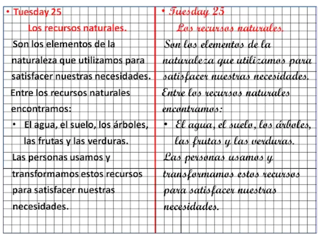 St Alphonsus Values Education : 圣阿方索重视教育