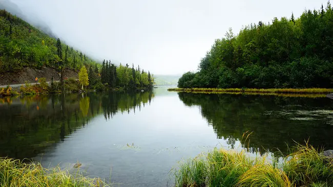 Clear Water Zone : 清水区