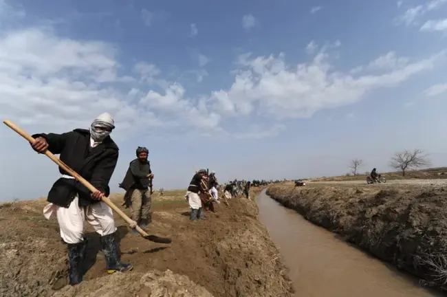 Afghan Agricultural Extension Project : 阿富汗农业推广项目