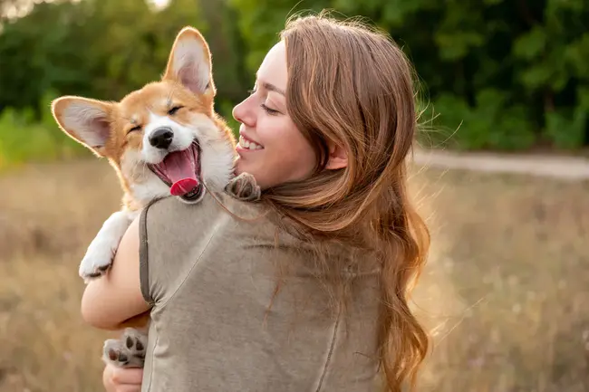 Pet Friendly Rentals : 宠物友好租赁