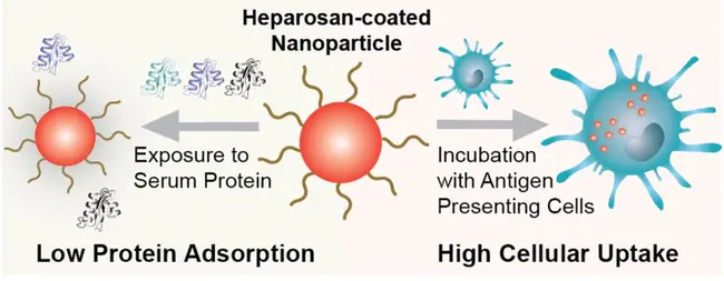 Nanoscience and Nanotechnology Letters : 纳米科学与纳米技术书信