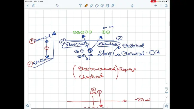 Nerve Conduction Velocities : 神经传导速度