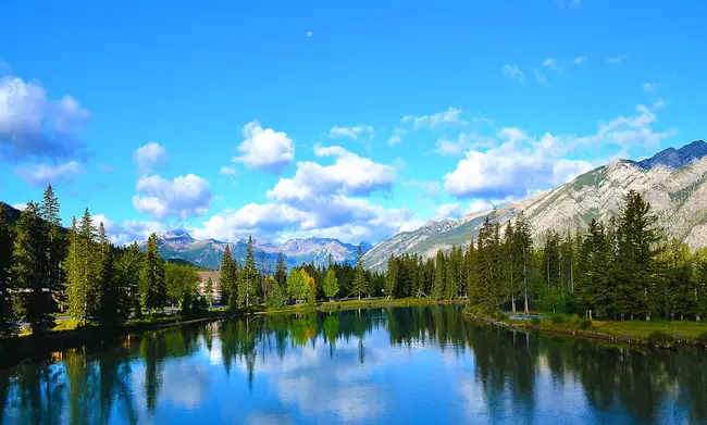 Banff Bow Valley Study : 班夫弓谷研究