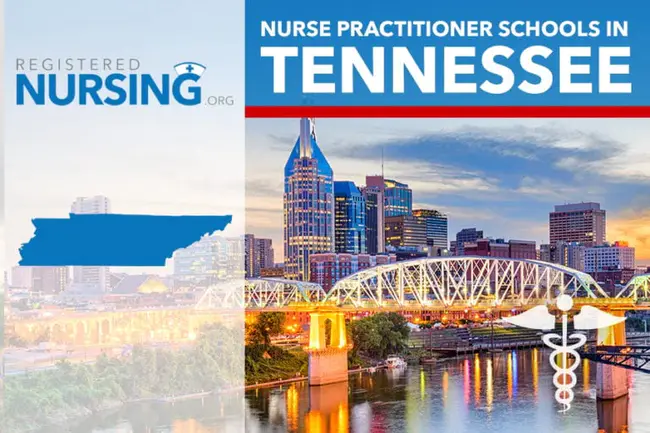 Tennessee Nurses Association : 田纳西州护士协会