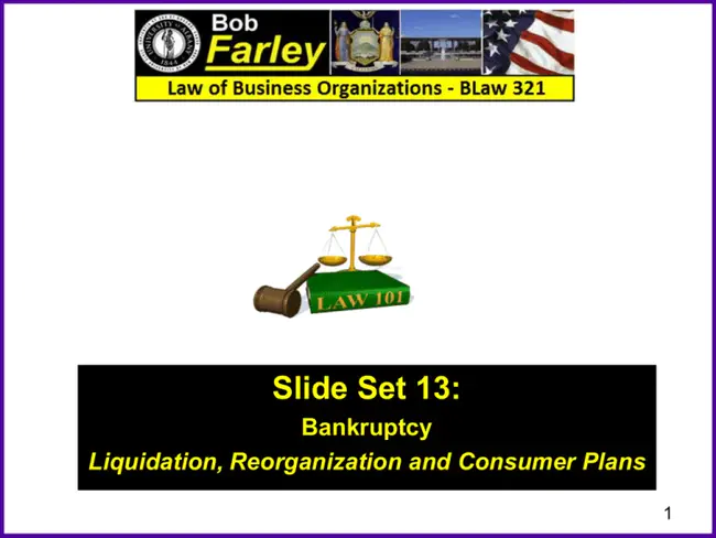 Bankruptcy Management Solutions : 破产管理解决方案