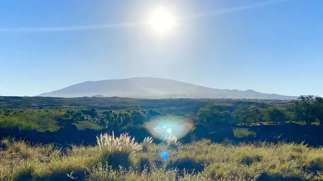 Waikoloa Dry Forest Initiative : Waikoloa干森林倡议