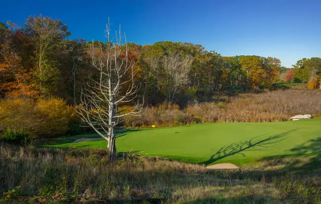 Boston Amateur Golf Society : 波士顿业余高尔夫协会