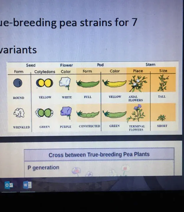 Biomanufacturing Training and Education : 生物制造培训与教育