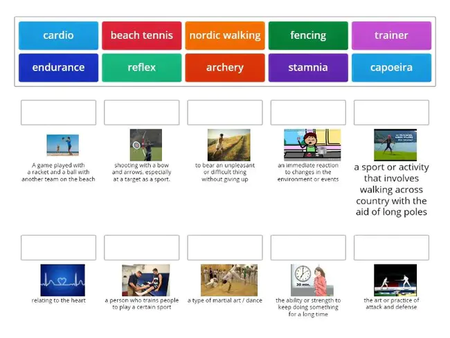 Sport Health Education and Discipline : 体育健康教育与纪律