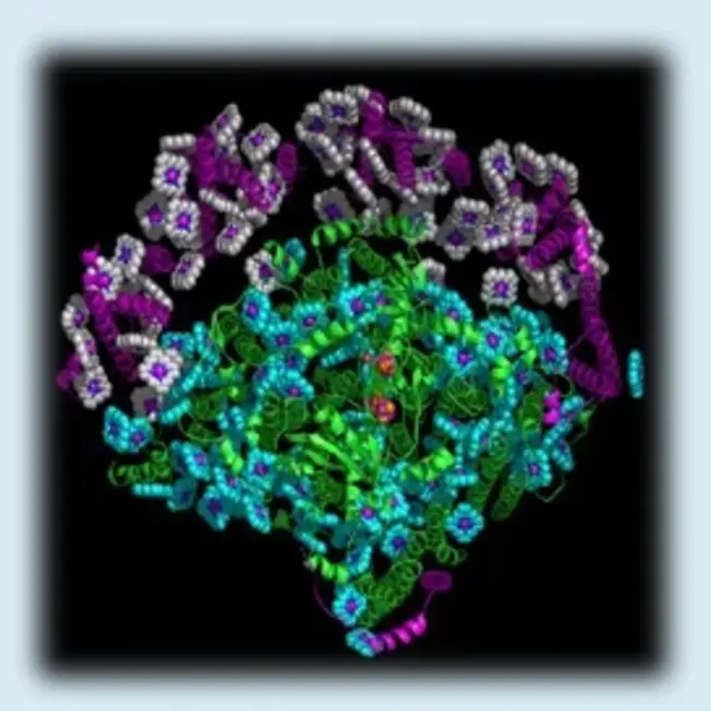 Molecular Biology Institute : 分子生物学研究所