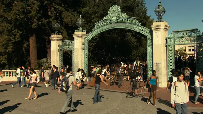 Berkeley UNIGRAFIX Movie Package : 伯克利 UNIGRAFIX 电影套餐