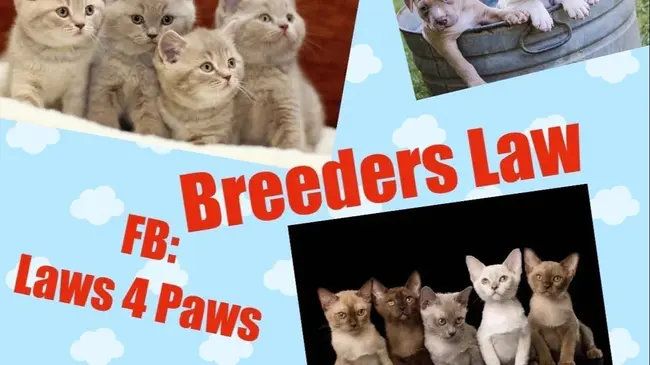 Breed Specific Laws : 特定品种的法律