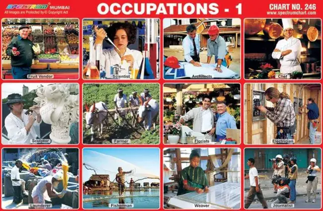 Occupations in Demand : 需求职业