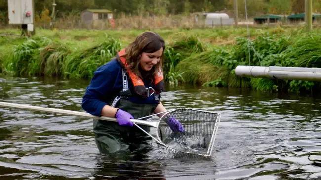 Scottish Aquaculture Research Forum : 苏格兰水产养殖研究论坛