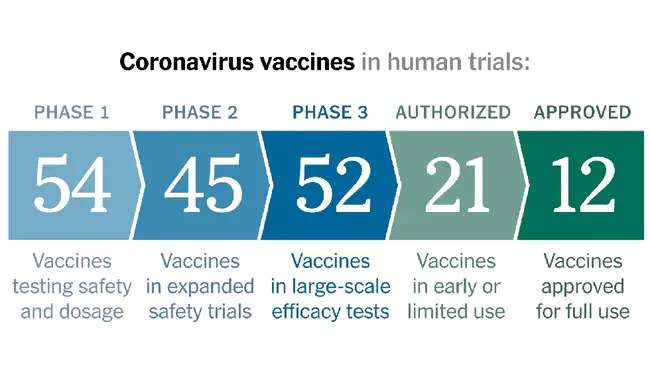 All Common Vaccines : 所有常见疫苗