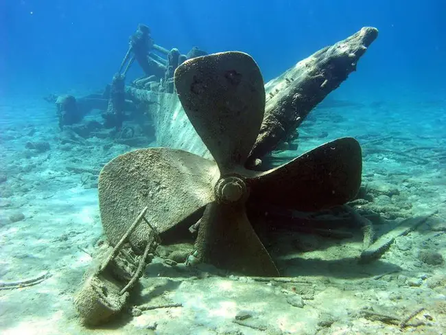 Michigan Shipwreck Research Association : 密歇根沉船研究协会