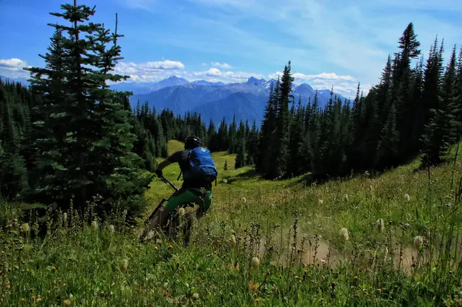 Yukon Orienteering Association : 育空定向运动协会